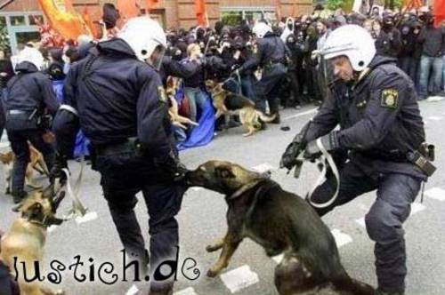 Polizei-Verwechslung Polizei-Verwechslung