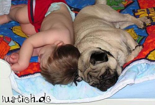 Baby und Hund Baby und Hund