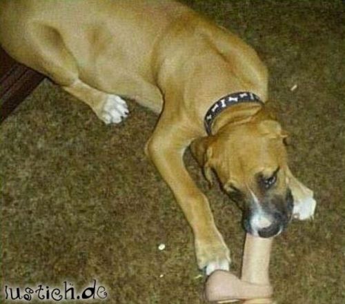 Knochen-Dildo Knochen-Dildo