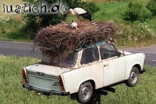 Storchennest
