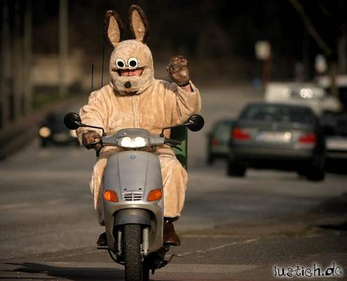 Motorisierter Osterhase Motorisierter Osterhase
