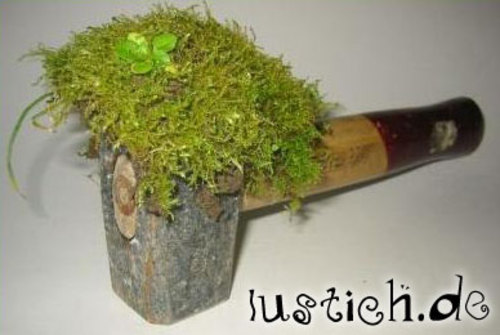 Mooshammer