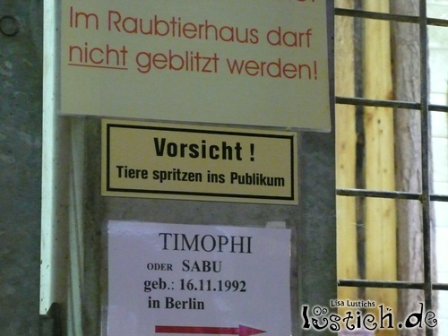 Tiere spritzen ins Publikum Tiere spritzen ins Publikum