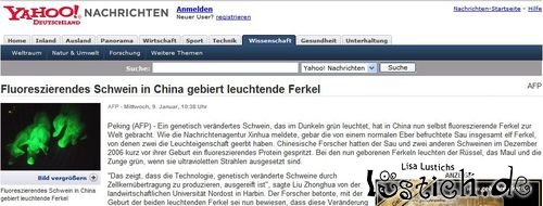 Leuchtende Ferkel Leuchtende Ferkel