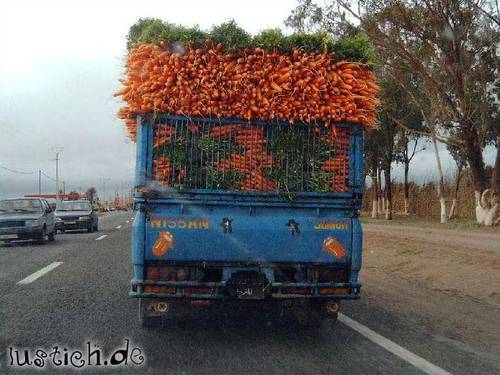 Möhrentransporter Möhrentransporter