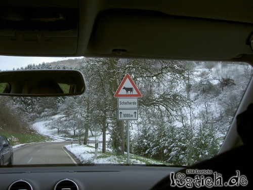 Schafherde oder Kuhherde? Schafherde oder Kuhherde?
