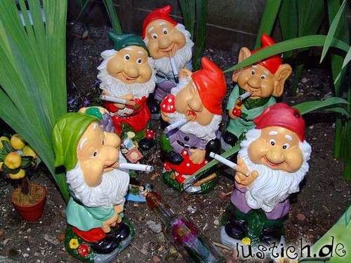 Gartenzwerge Bild lustich.de