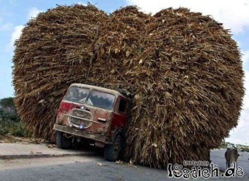 14548 grosser transport jpg