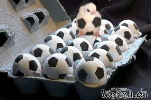 Fußballkücken Fußballkücken