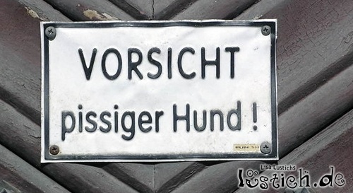 Pissiger Hund Pissiger Hund