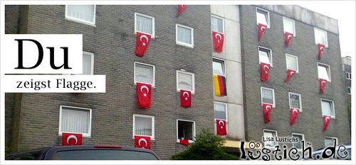 Einsamer Fan Einsamer Fan