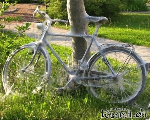 Spinnennetzfahrrad Spinnennetzfahrrad
