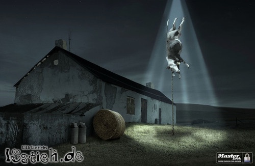 UFO Entführung UFO Entführung