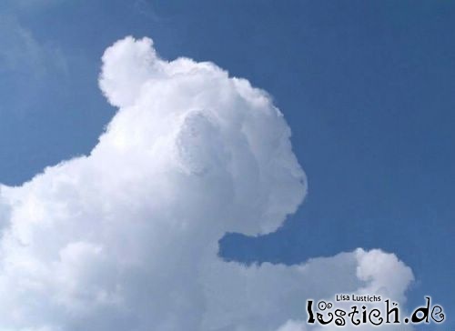 Tigerwolke Tigerwolke