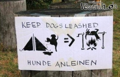 Hunde anleinen Hunde anleinen