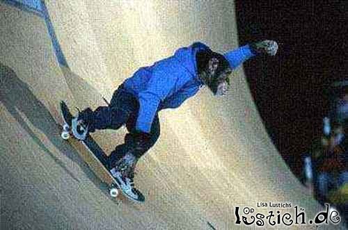 Skater Affe