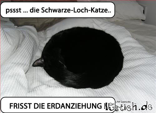 Schwarze Loch Katze