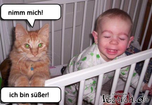 Katze und Baby