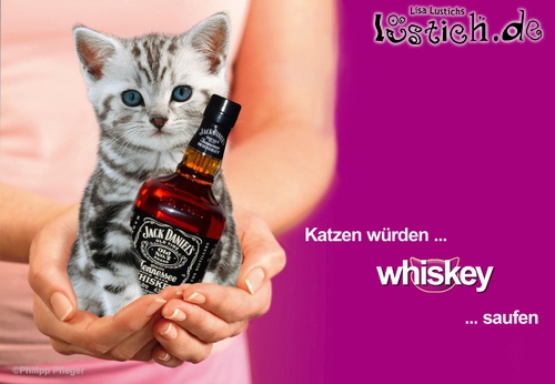 17856-katzen-wuerden-whiskey-saufen.jpg