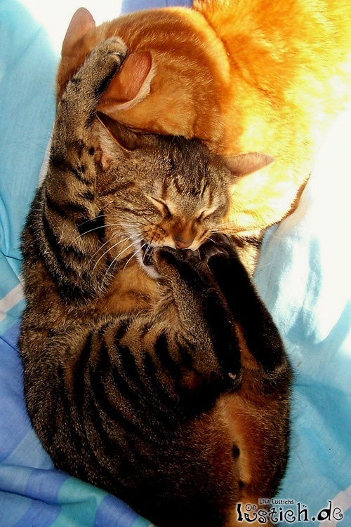 Autsch! Autsch!