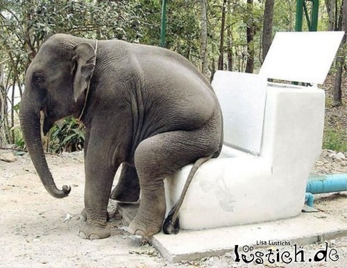 image: 18663-elefanten-wc