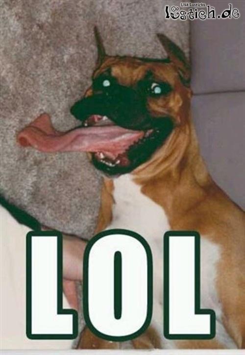 Hund mit langer Zunge Bild lustich.de