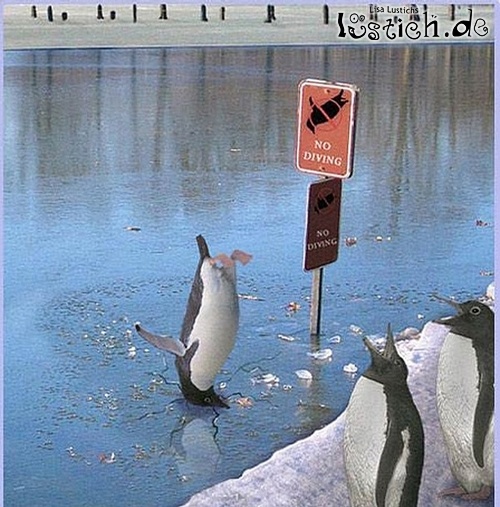 Nicht Schwimmen! Bild lustich.de