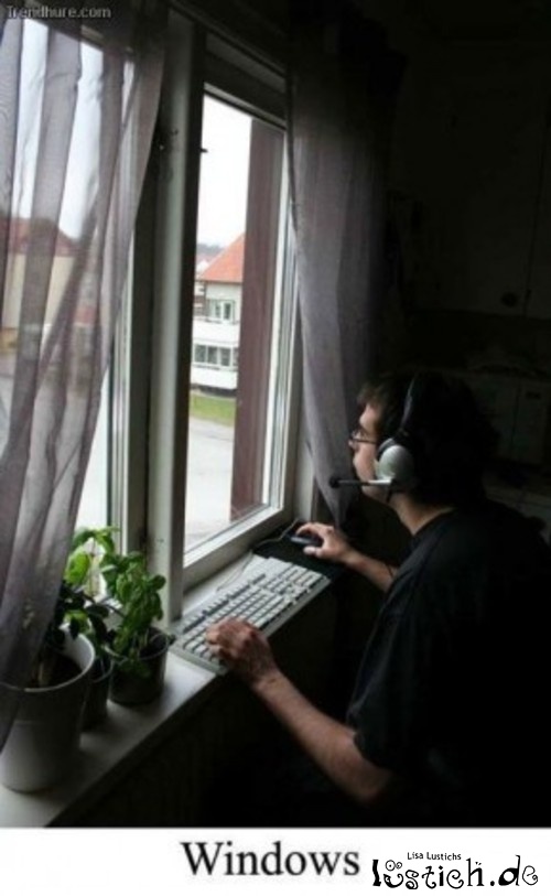 Windows Windows