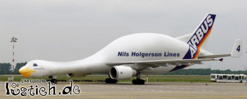 Schwanen Flugzeug