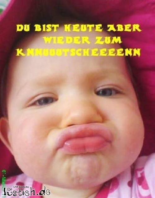 Dicker Schmatzer Dicker Schmatzer