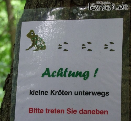 Kleine Kröten Kleine Kröten