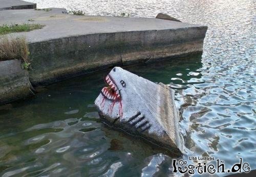Hai im Wasser Hai im Wasser