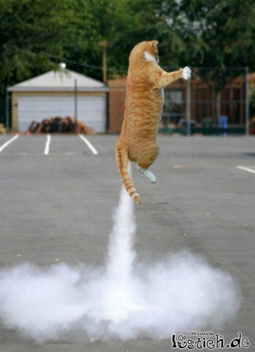 20320-raketenkatze.jpg