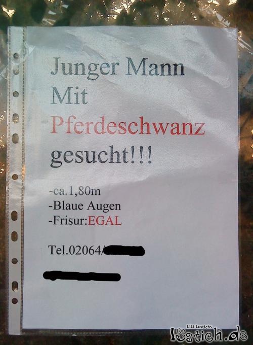 Junger Mann mit Pferdeschwanz gesucht
