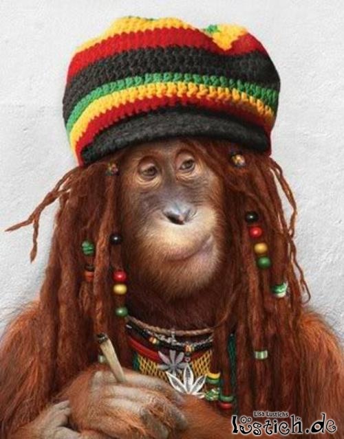 Rastaaffe