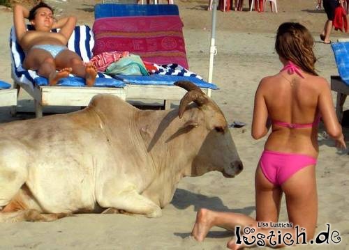 Netter Partner am Strand Netter Partner am Strand