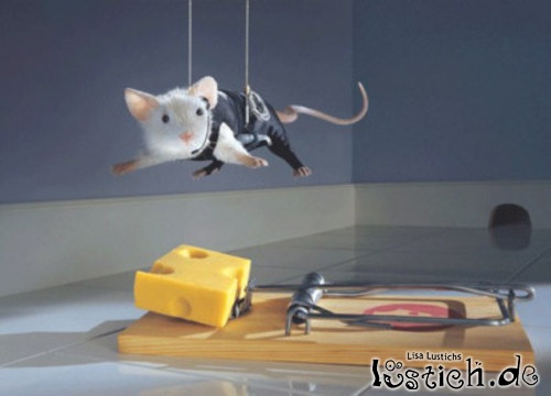 Agent Maus in riskanter Mission Agent Maus in riskanter Mission