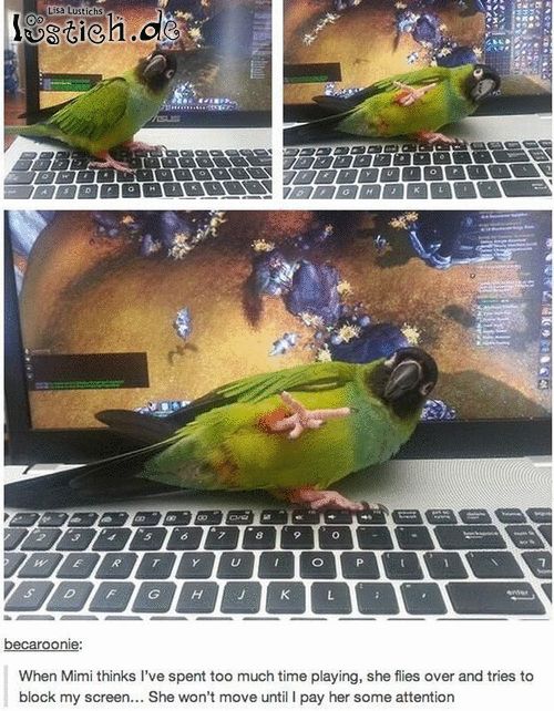 spiel mit l spiel mit l