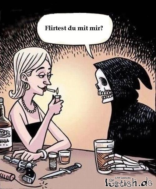 Warum beim Kater die Hämorrhoide
