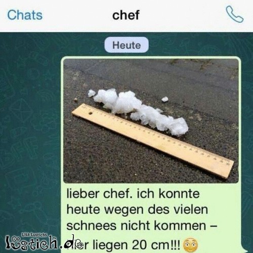 20 cm Neuschnee über Nacht Bild lustich.de