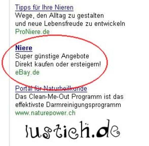 Niere kaufen