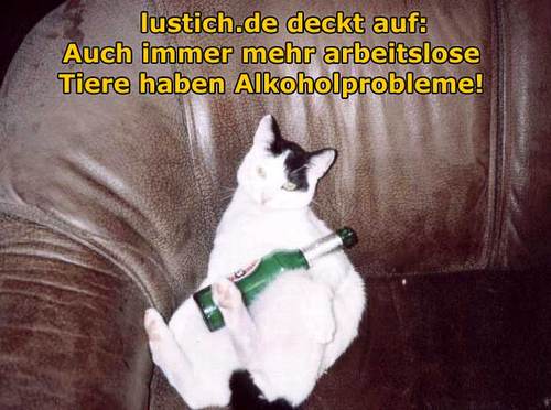 Bierkatze Bierkatze