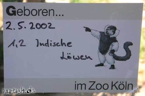 1,2 Löwen 1,2 Löwen