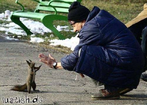 Eichhörnchen Eichhörnchen
