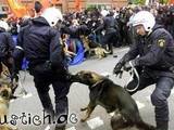 Polizei-Verwechslung
