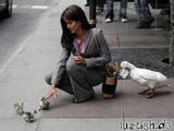 Tierische Diebe