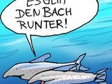 Bach runter