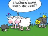 Schwarzes Schaf