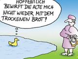 Enten f&uuml;ttern