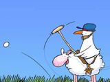 Polo auf Schaf